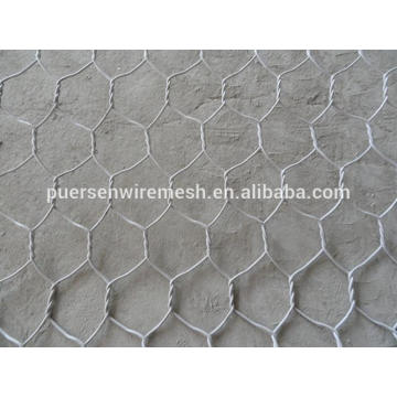 Hexagonal Wire Netting used in Building by Puersen